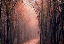 开云：中澳人名单年龄对比：国足平均年龄.岁，澳大利亚.岁.