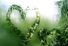 开云：特朗普对加拿大、墨西哥和中国加征关税，引发争议.